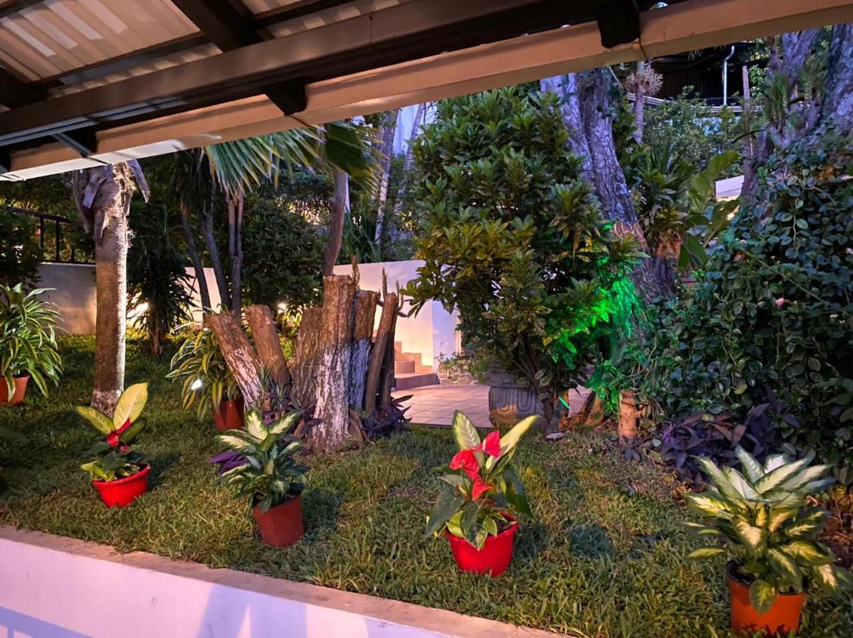 Casa Reflejos City View San Jose  Ngoại thất bức ảnh
