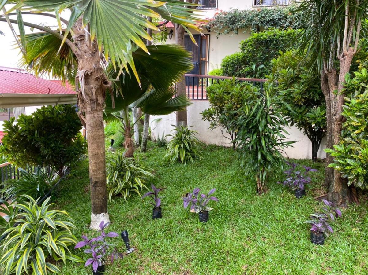 Casa Reflejos City View San Jose  Ngoại thất bức ảnh